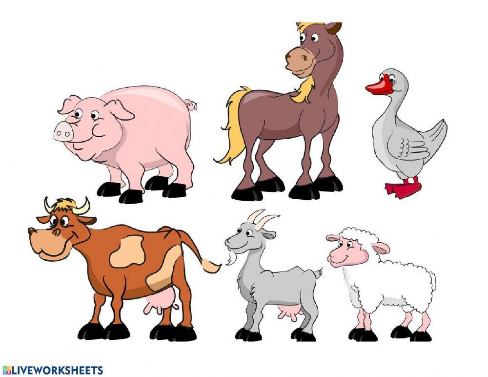 Farm animals