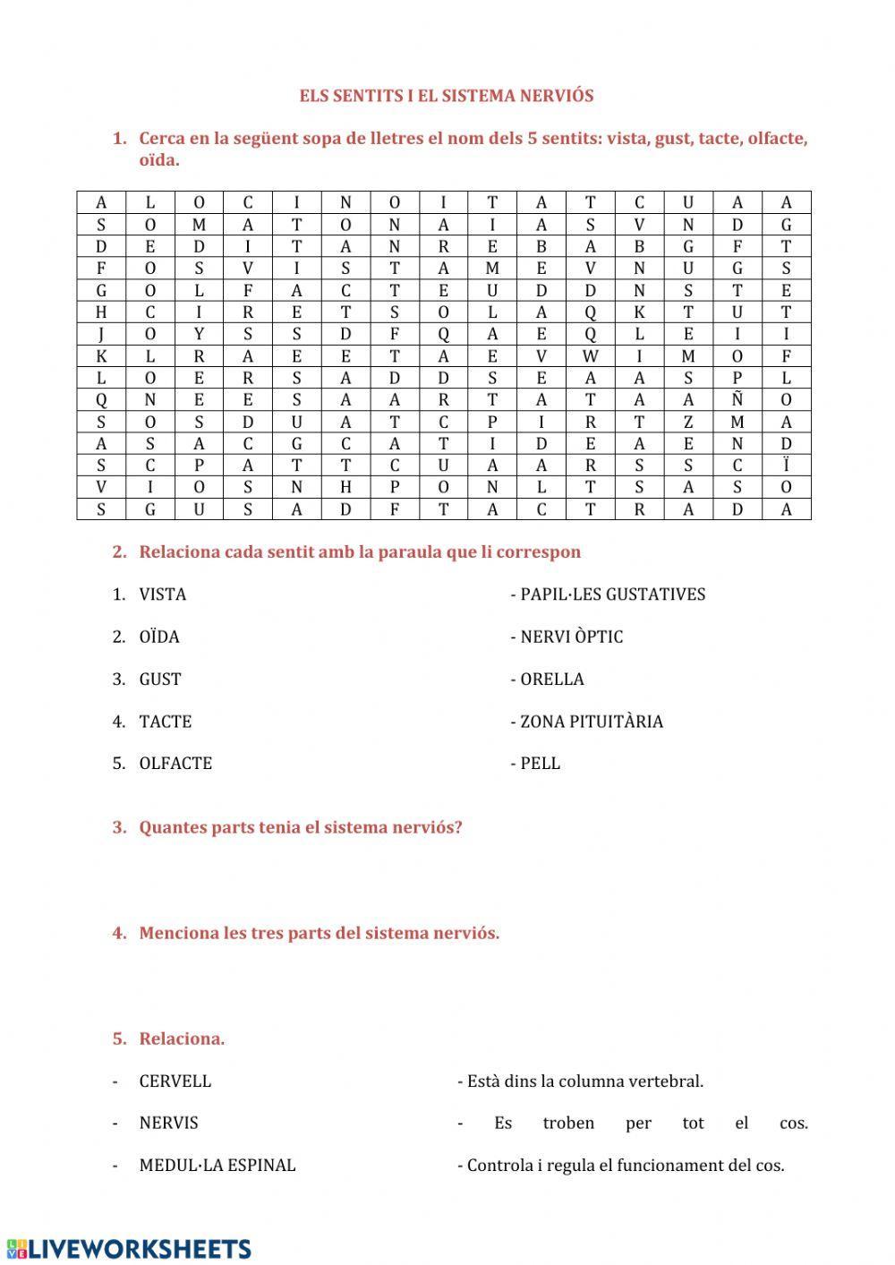 Sentits i sistema nerviós