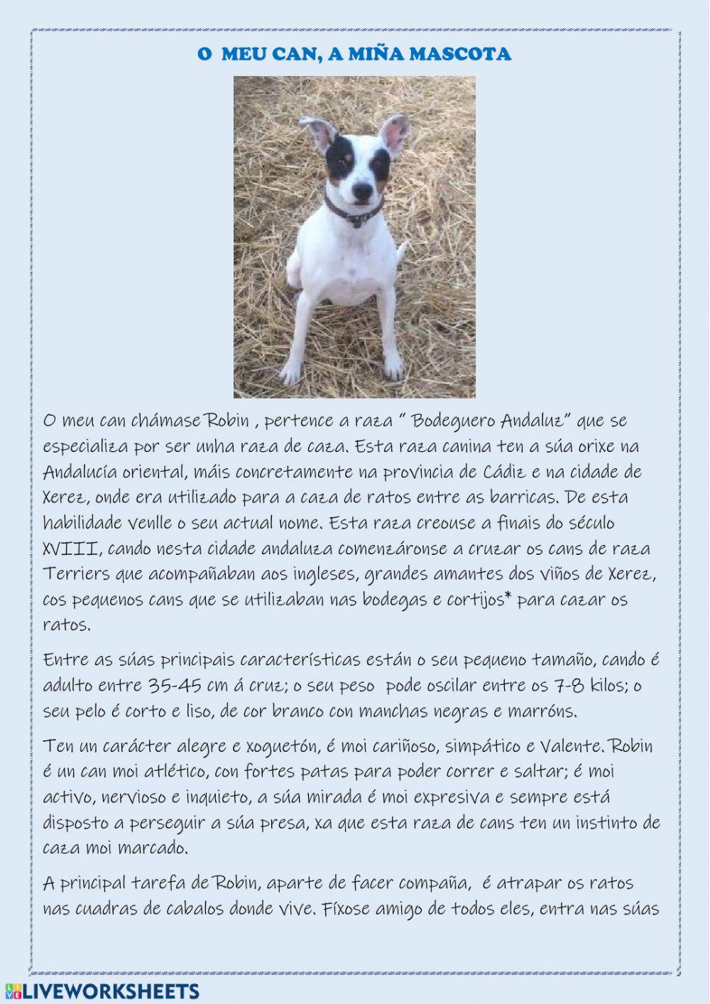 O meu can, a miña mascota