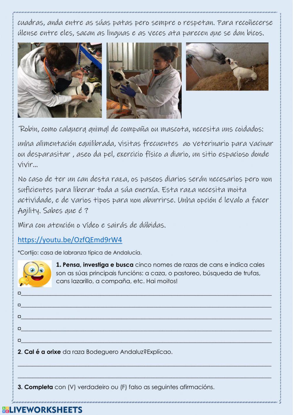 O meu can, a miña mascota