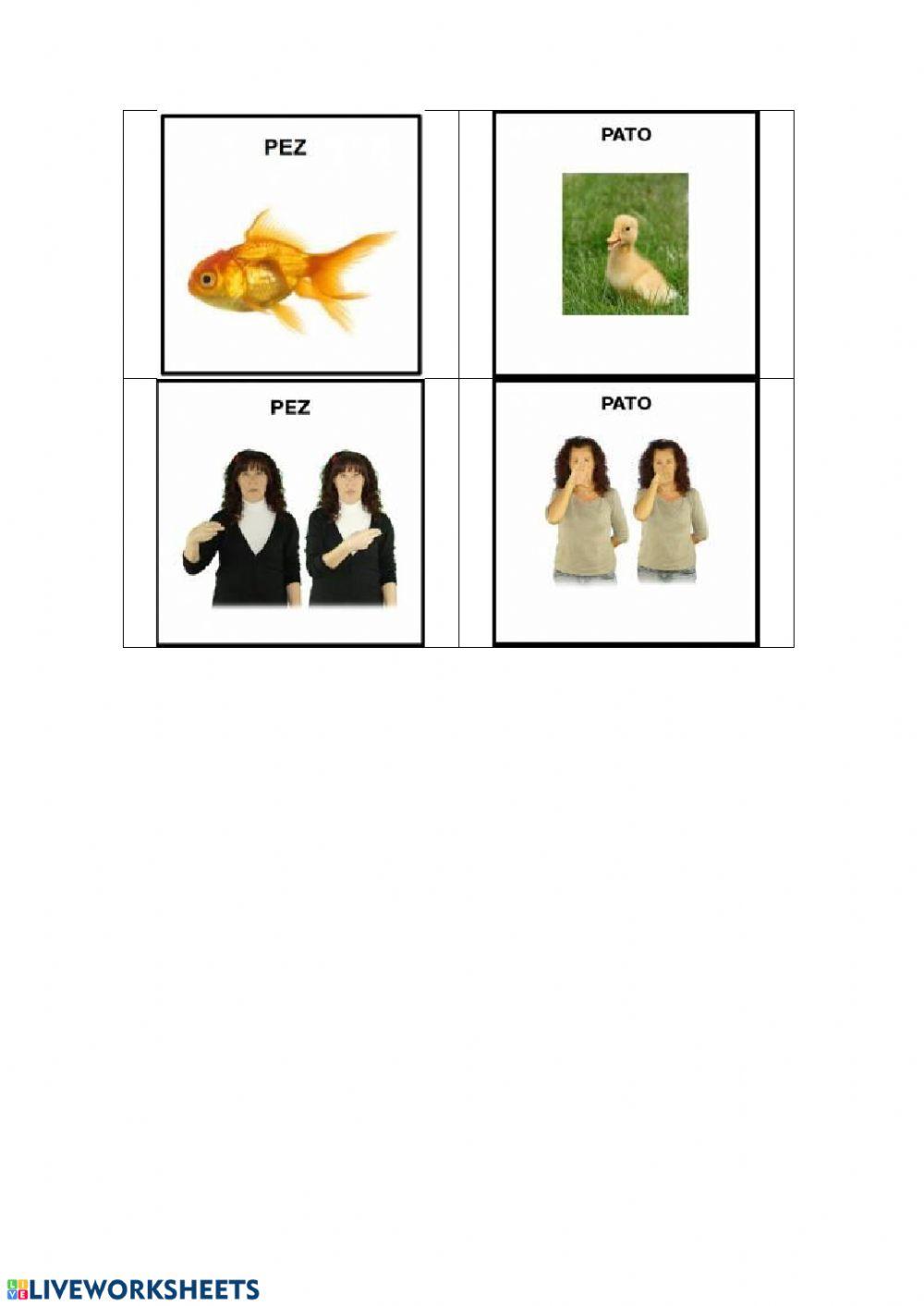 ANIMALES asociar foto con signo