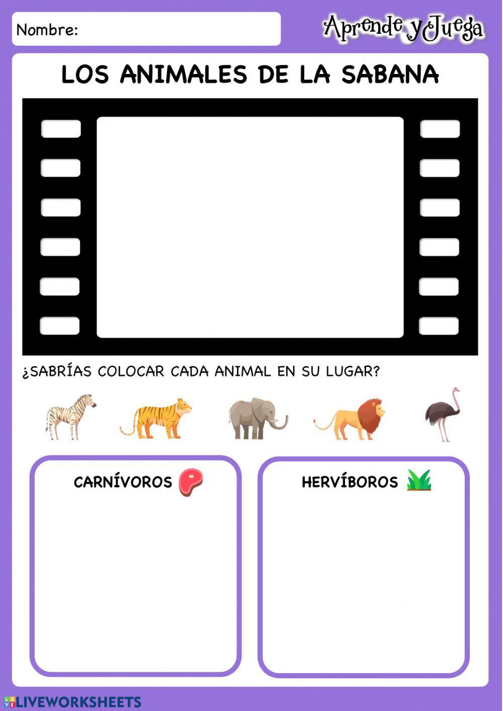 Carnívoros y hervíboros Carnívoros y hervíboros
