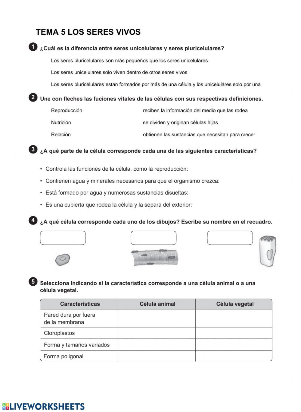 6º Natural ScienceTEST 5