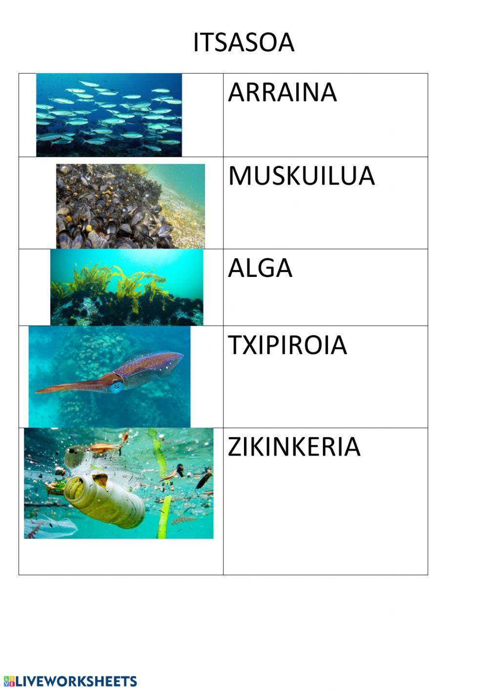 Ekoetxea Ekoetxea