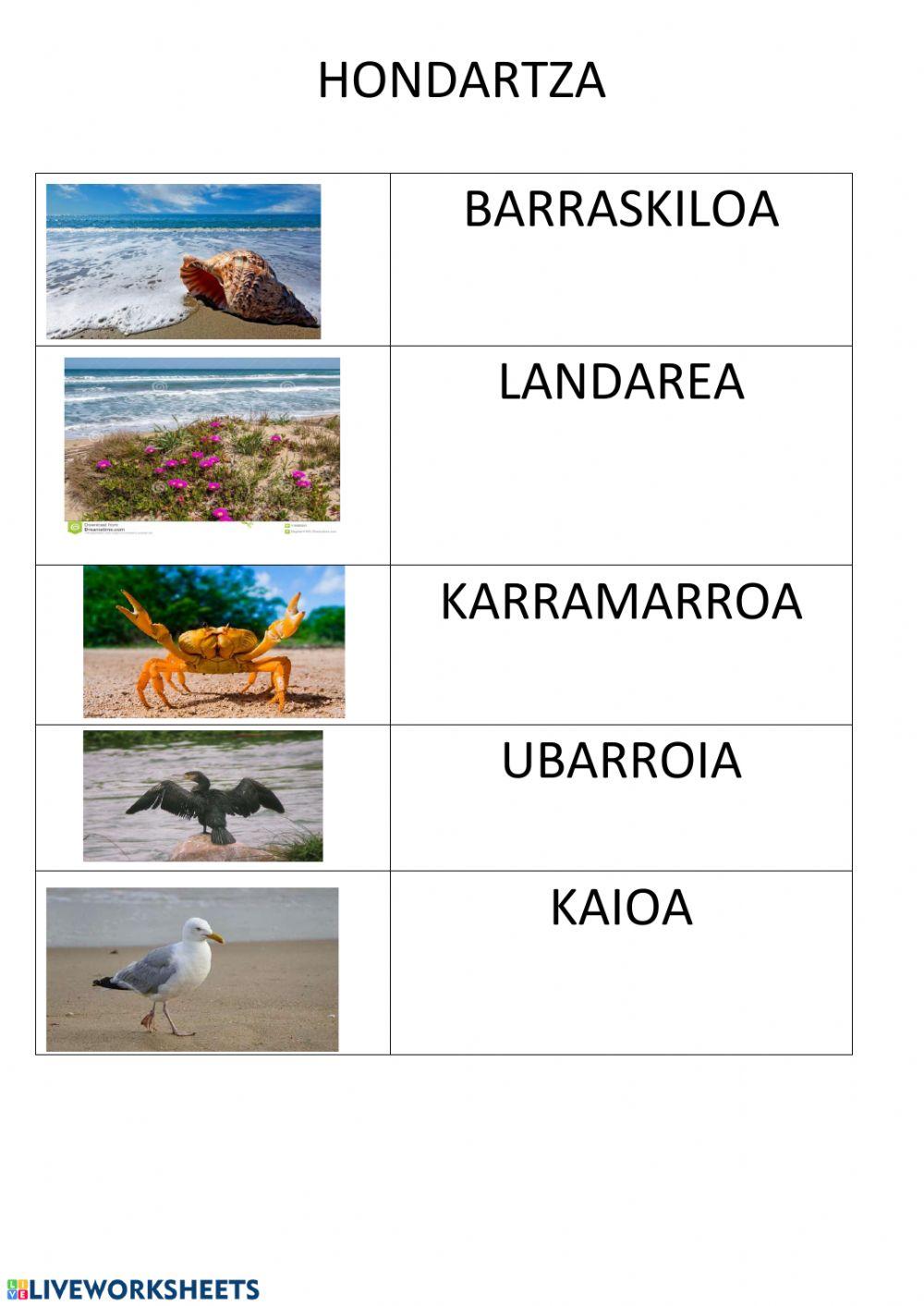 Ekoetxea Ekoetxea