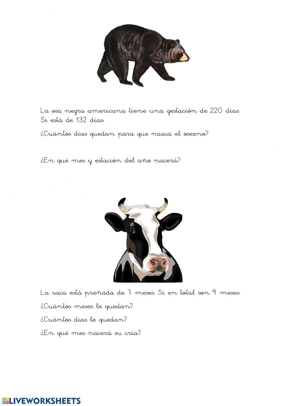 Gestación animales