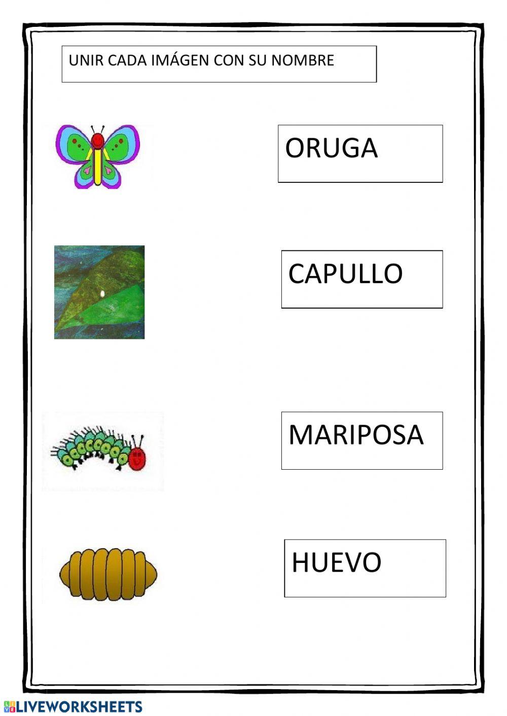 Unir imagén palabra