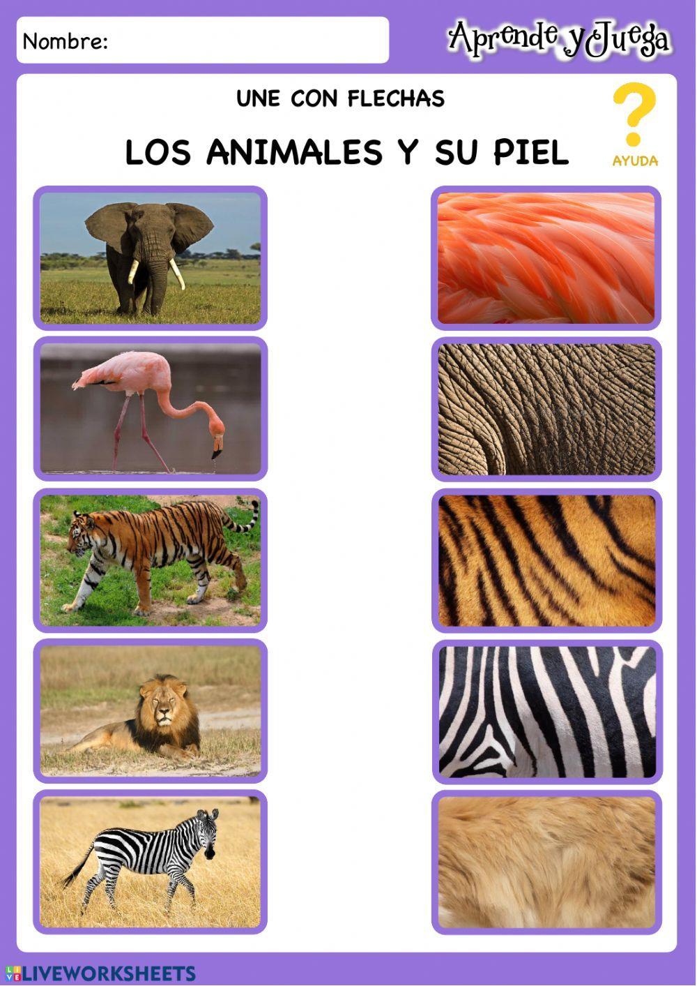 Pieles Animales