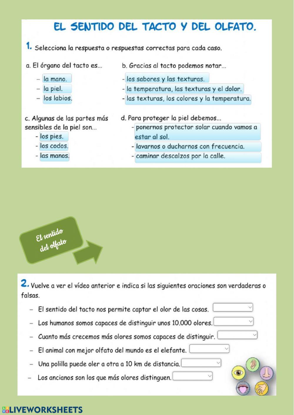 Tacto, olfato y gusto