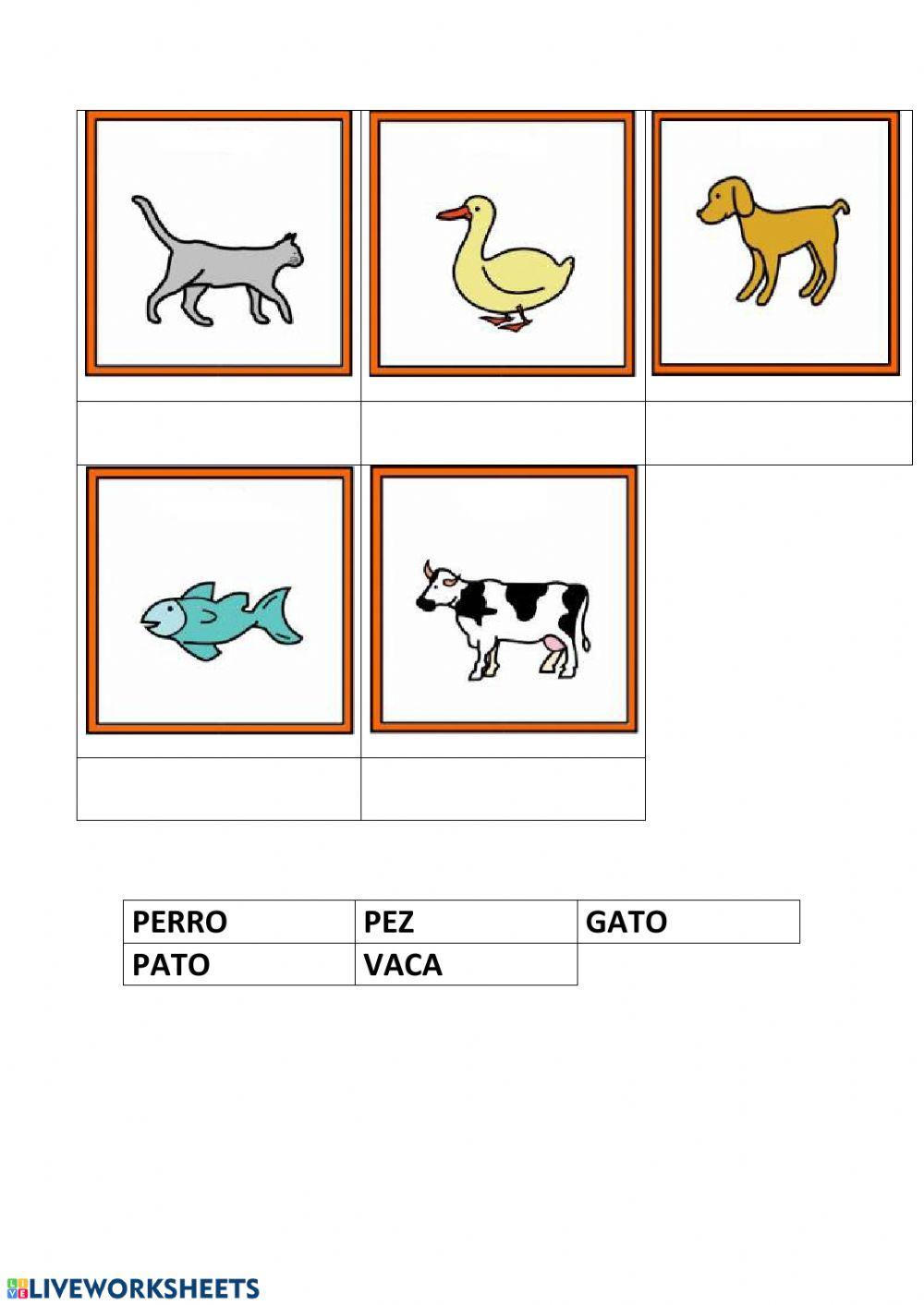 ANIMALES asociar picto con palabra sin modelo