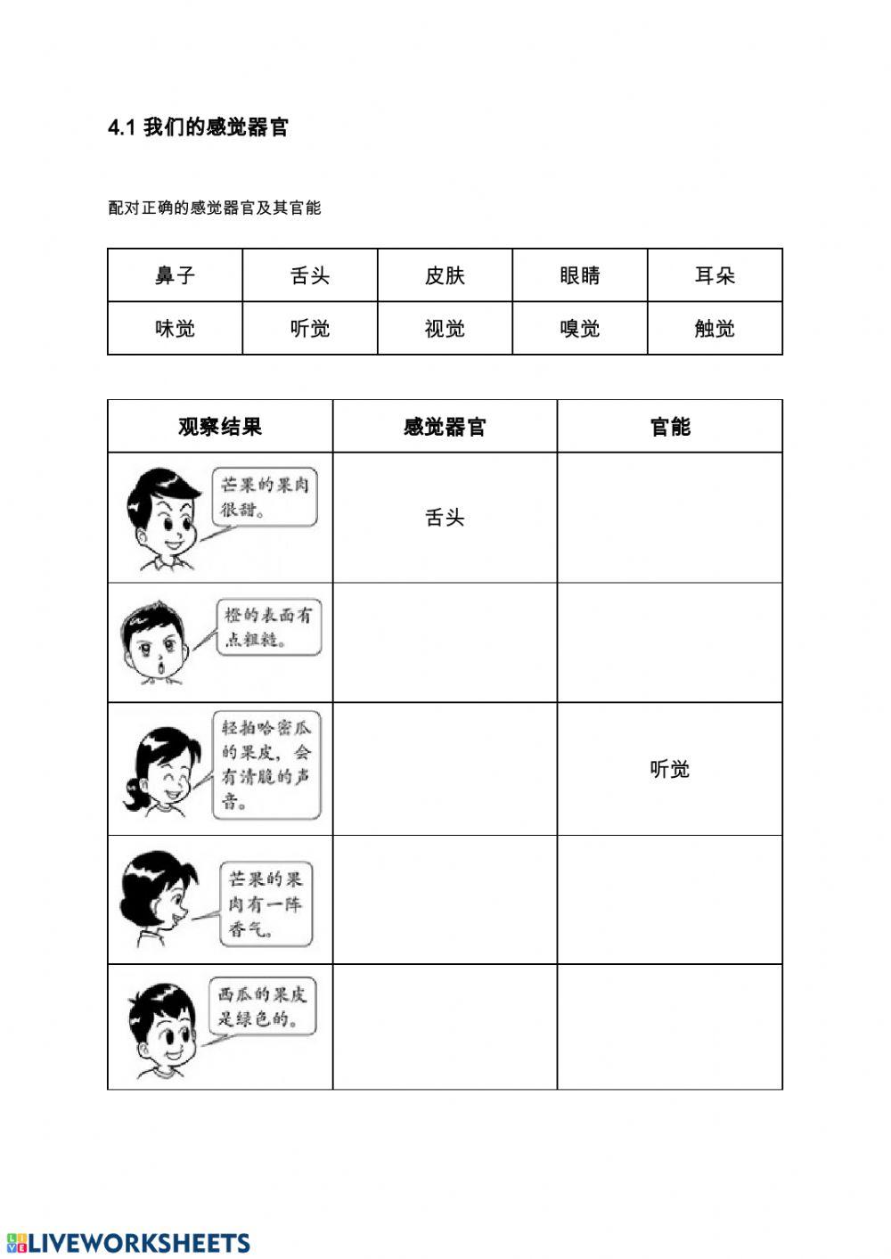 我们的感觉器官