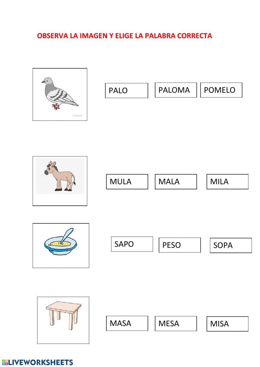 Lectura imagen-palabra
