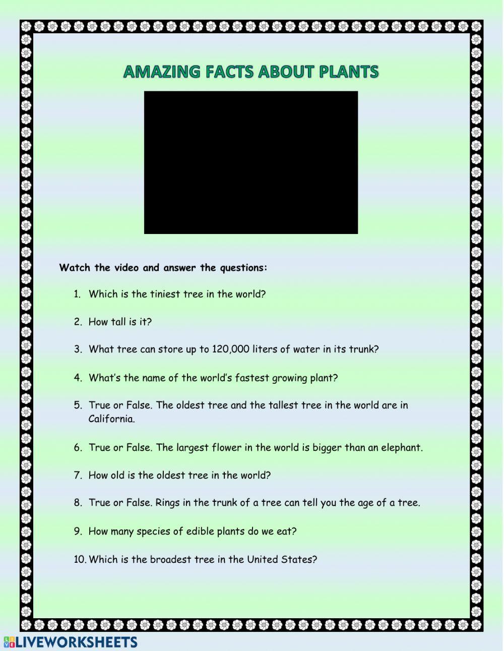 Amazing Facts about Plants