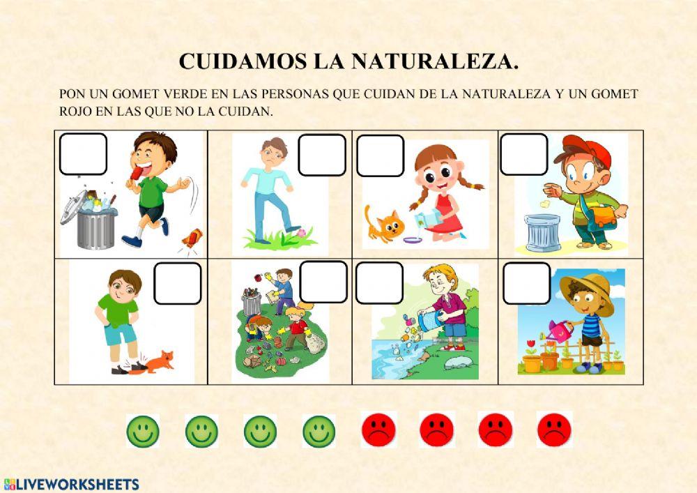 Cuidamos la creación Infantil
