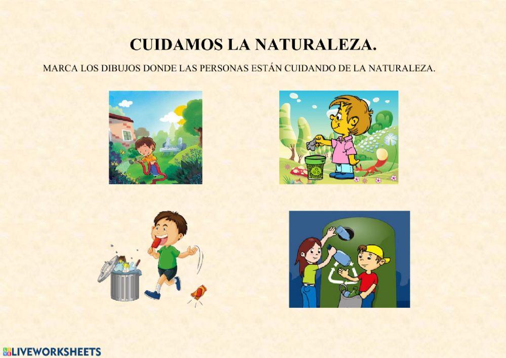 Cuidamos la creación Infantil