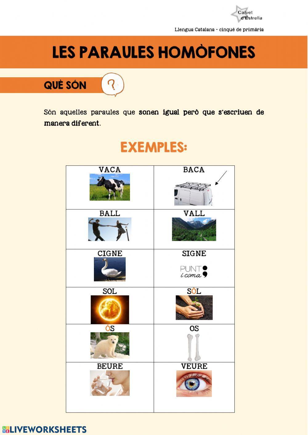 Les paraules homòfones