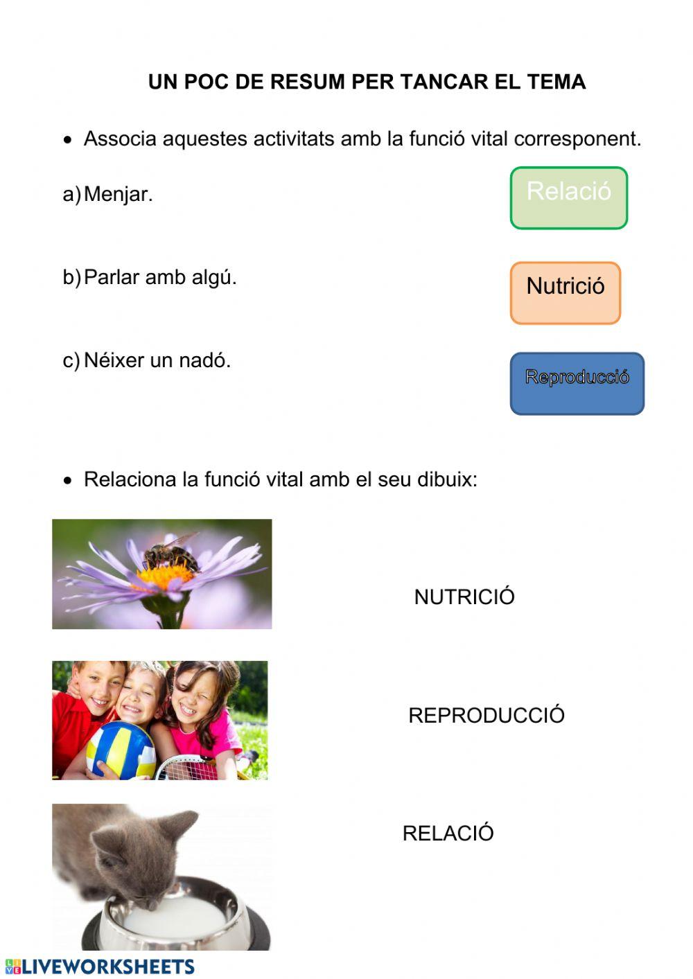 Funció de reproducció