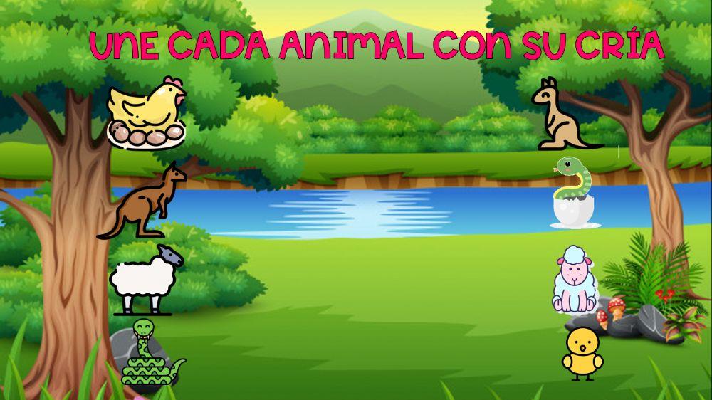 Reproducción de los animales Reproducción de los animales