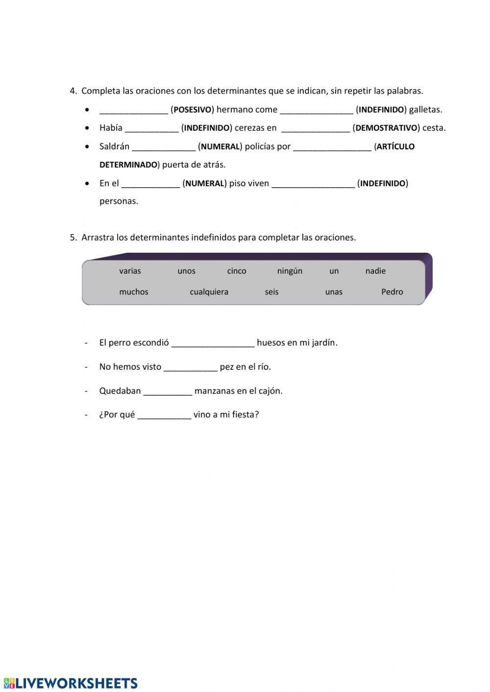 NUMERALES E INDEFINIDOS