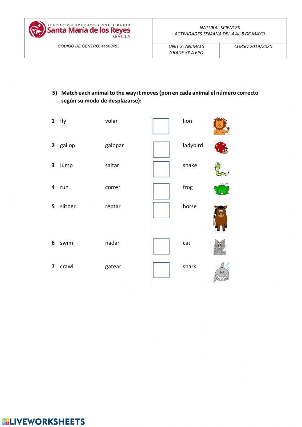 Caractristicas de los animales