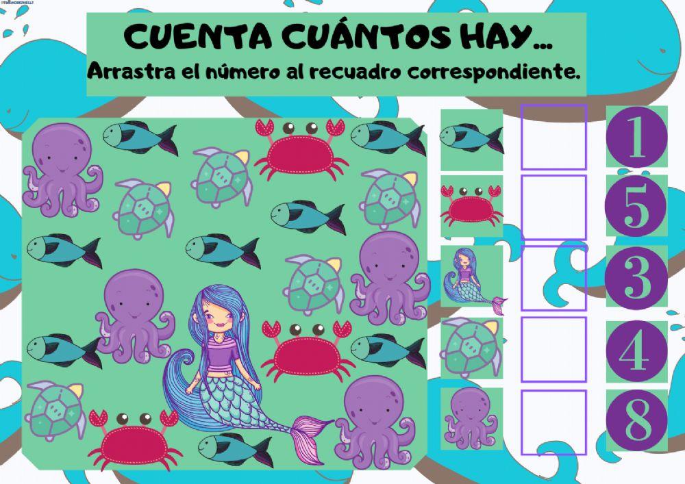 asociación número cantidad