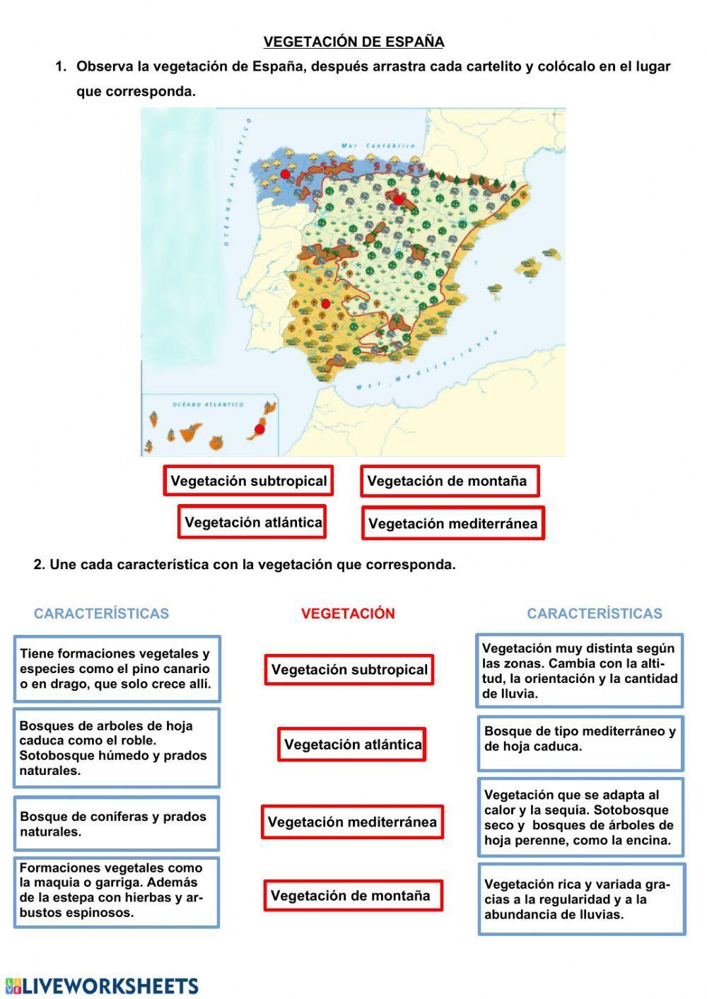 Vegetación de España