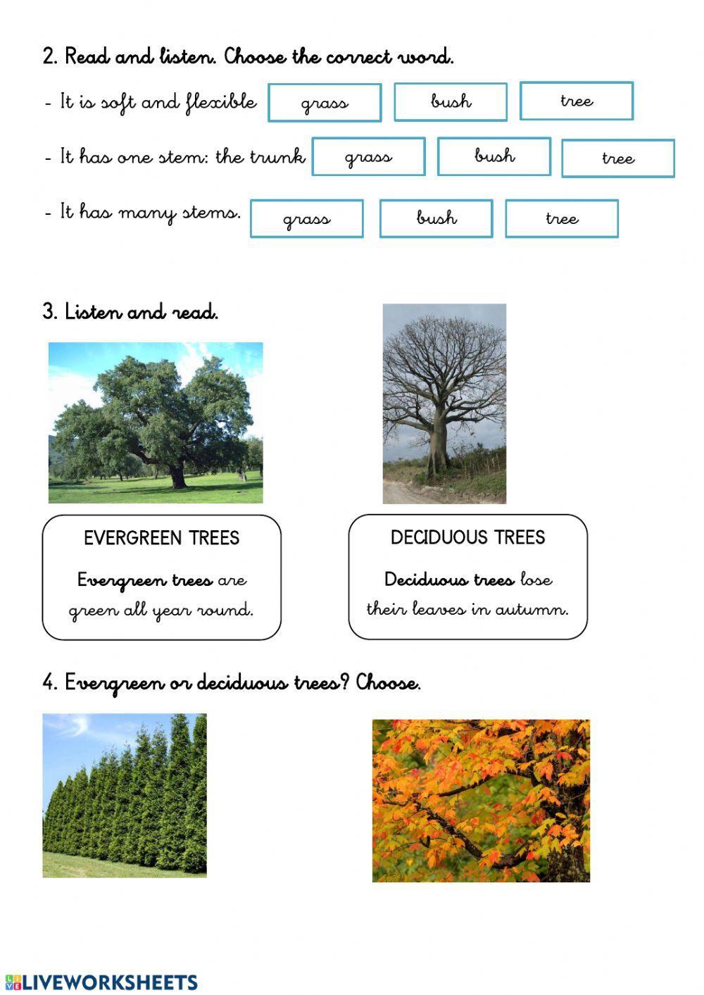 Types of plants