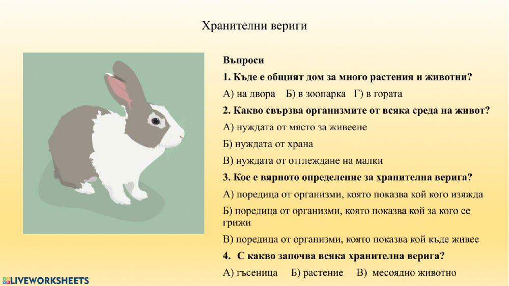 Хранителни вериги activity | Live Worksheets