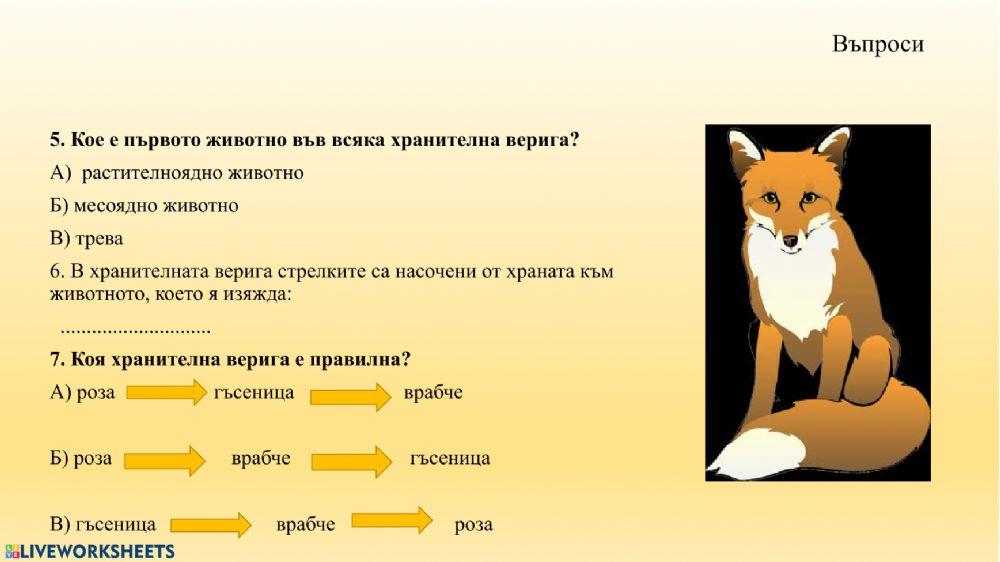 Хранителни вериги activity | Live Worksheets