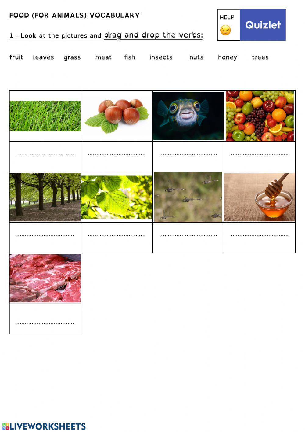 FOOD VOCABULARY (for animals)