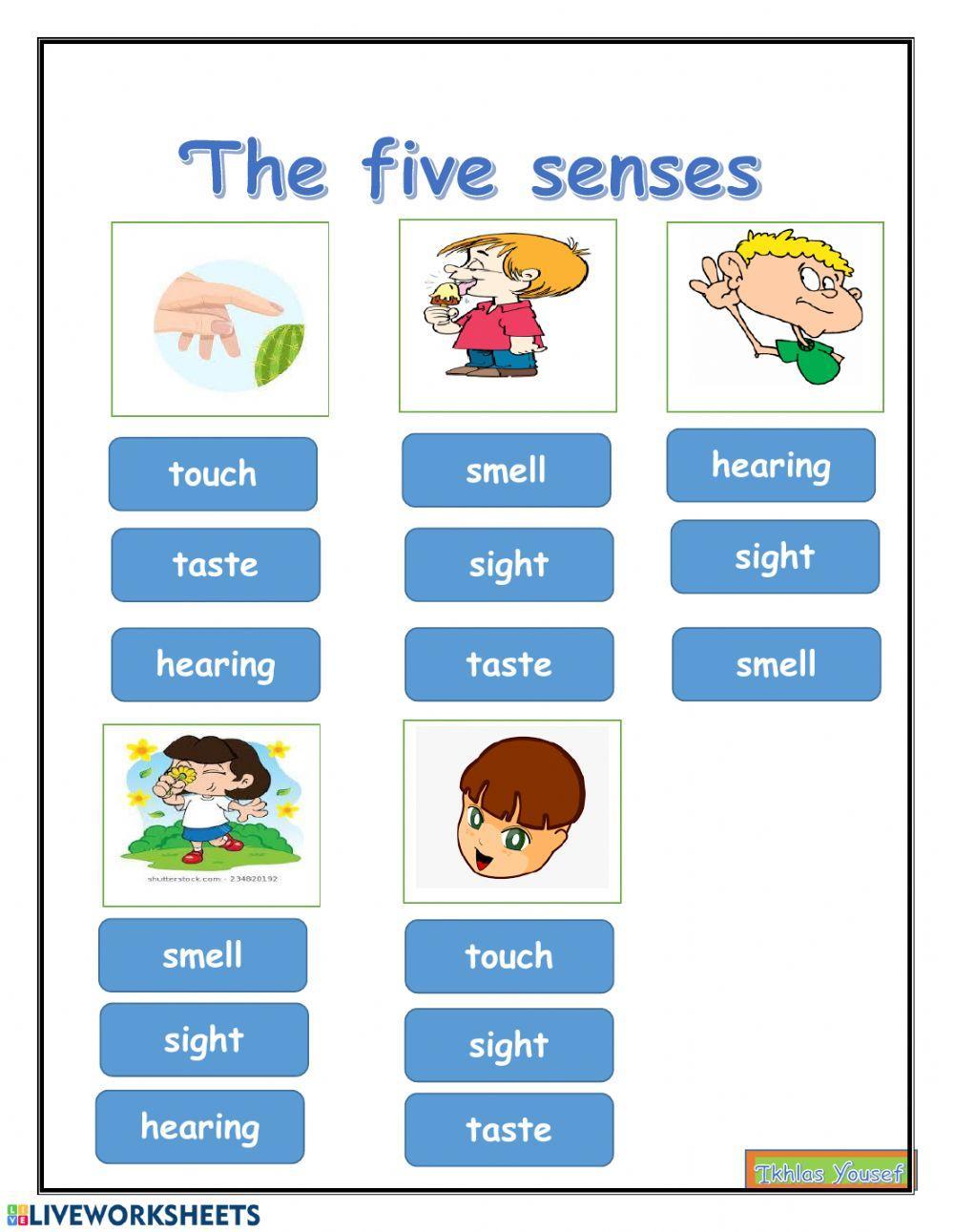 Five senses