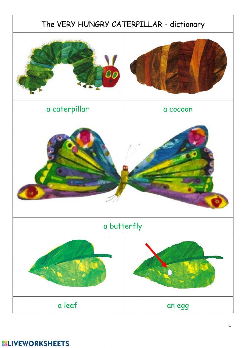 The Very Hungry Caterpillar - activities