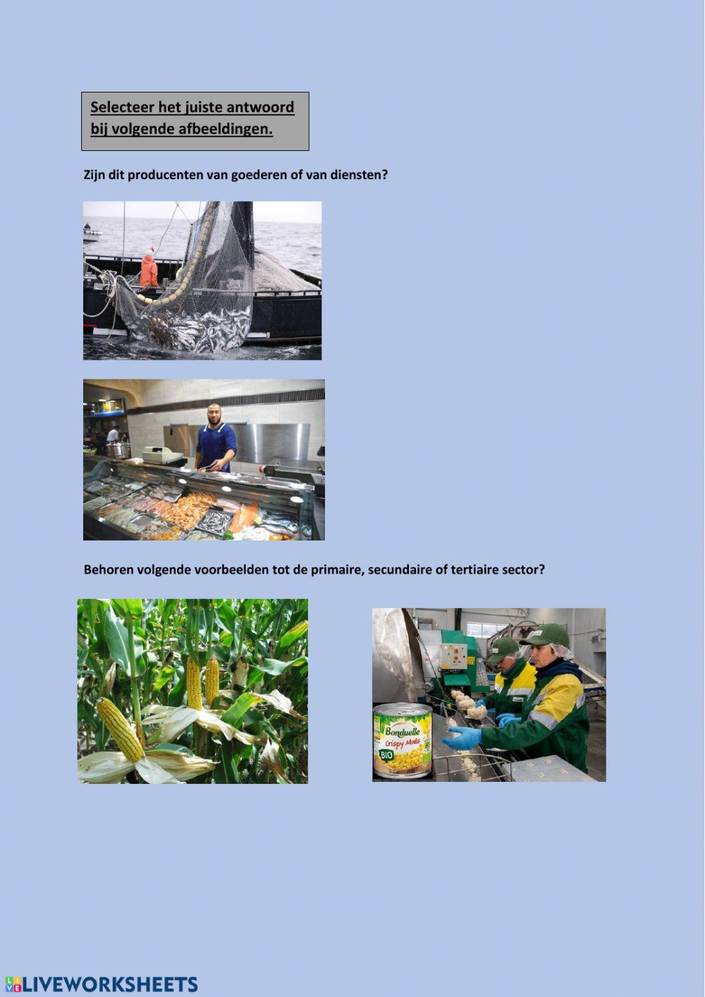 Marktgebeuren gezien vanuit het standpunt van de producent