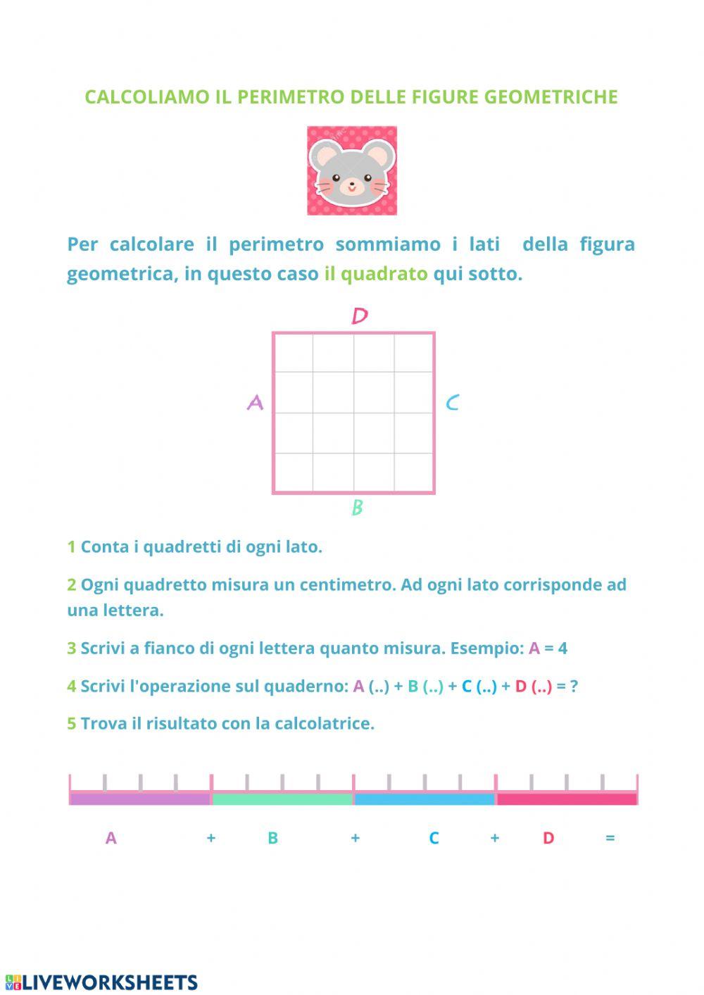 Calcoliamo il perimetro