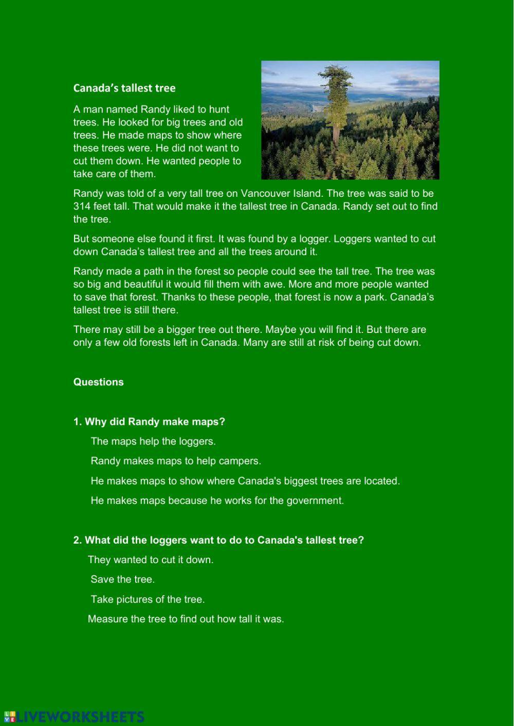 Canada's tallest tree