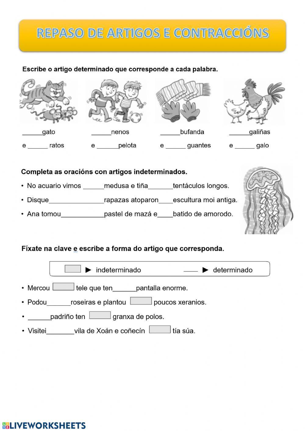 Repaso artigos e contraccións