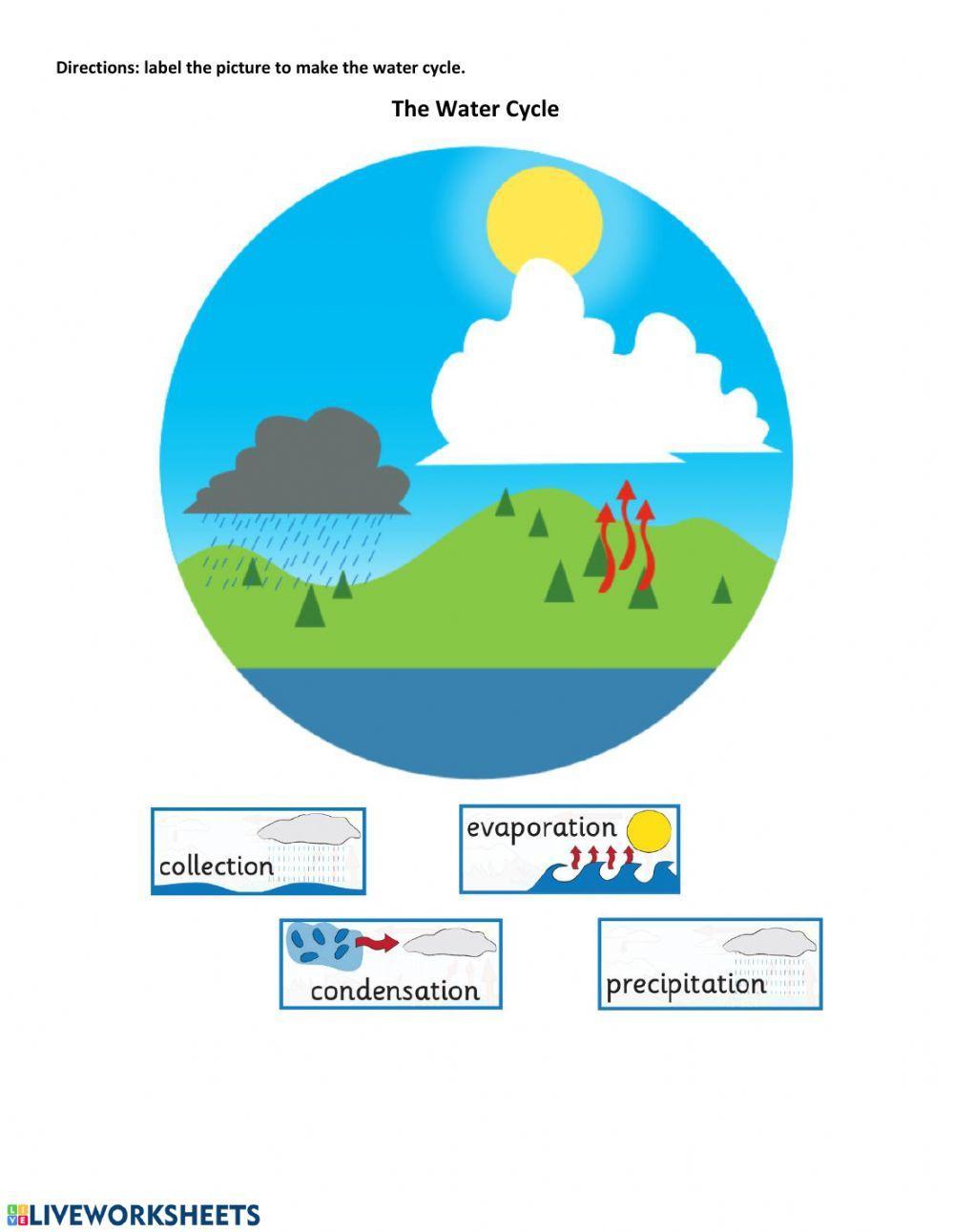 The Water Cycle