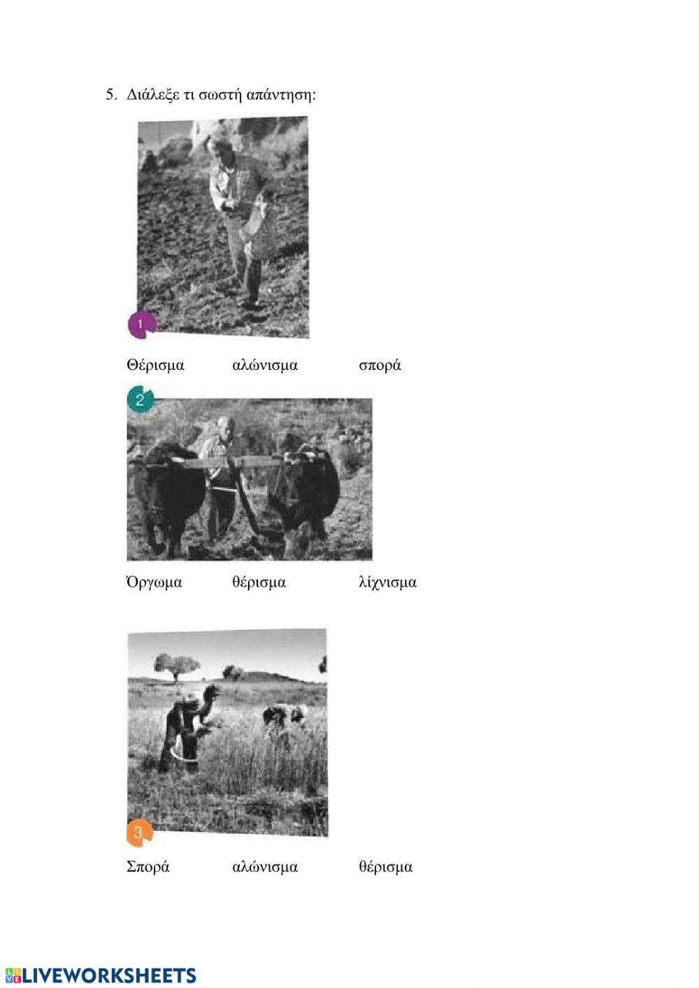 Το πιο γλυκό ψωμί 1+2 Ασκήσεις βιβλίου