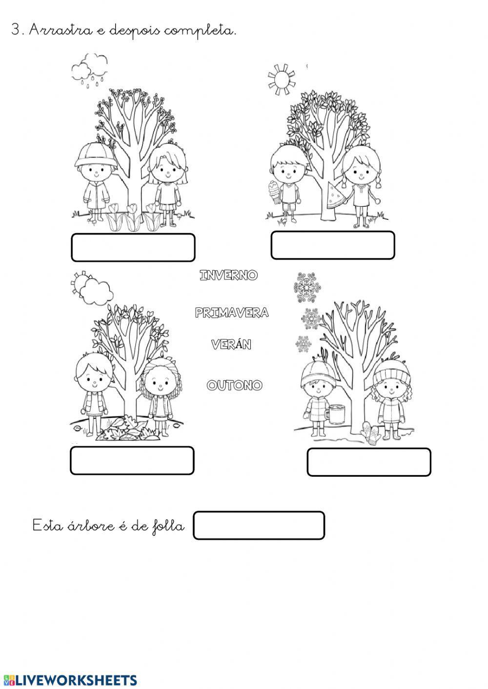 Ficha 4. folla caduca e folla perenne