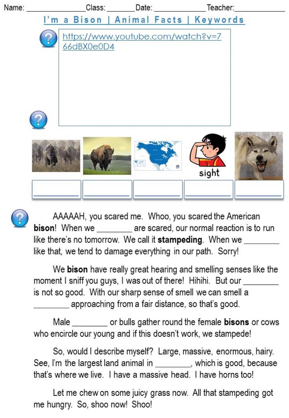 I’m a Bison - Animal Facts - Keywords