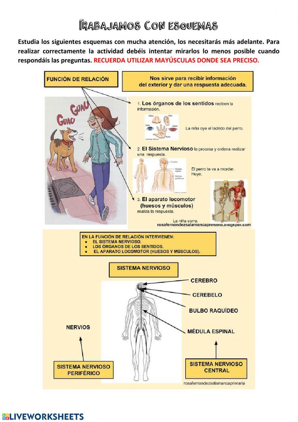 La función de relación