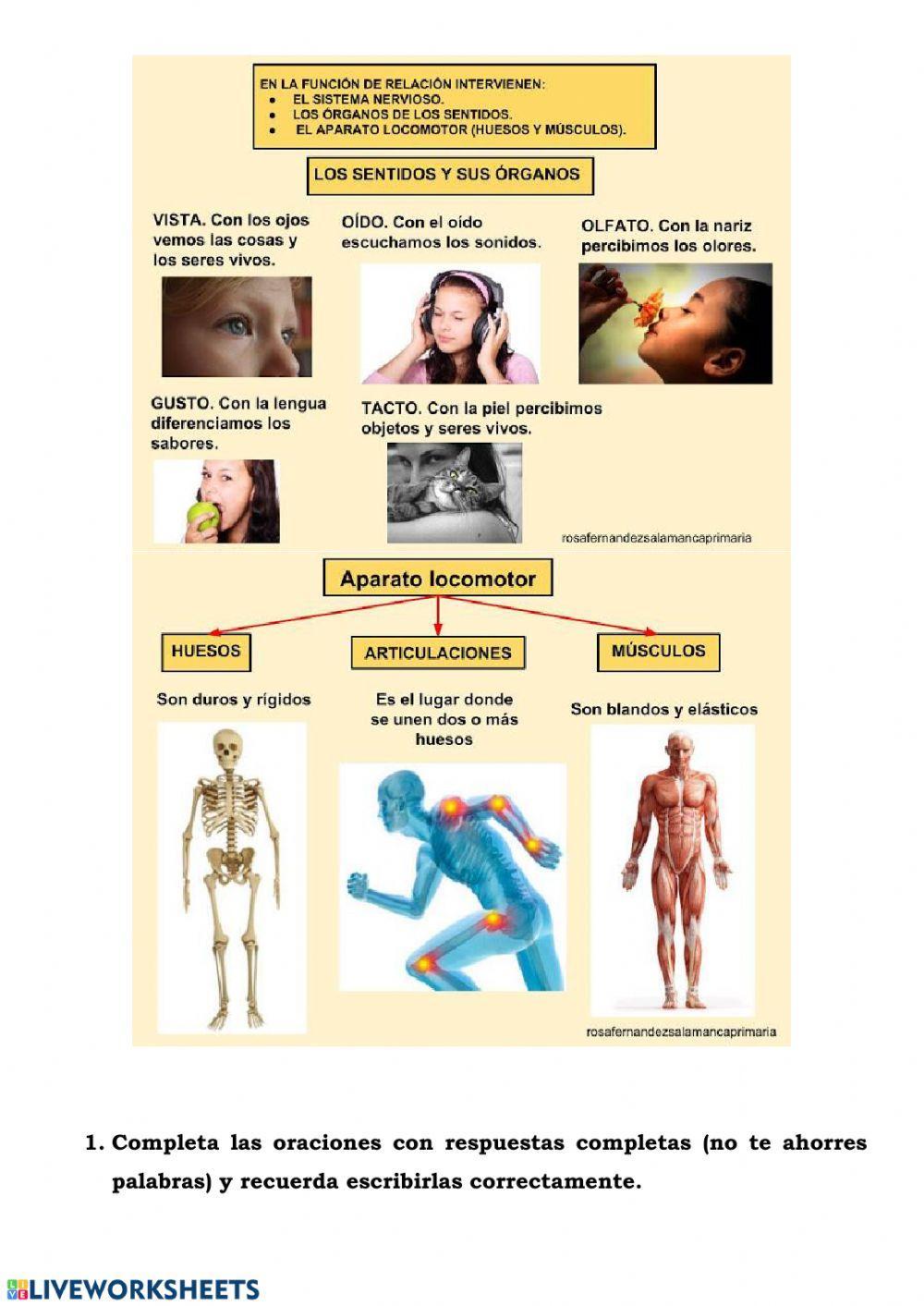 La función de relación