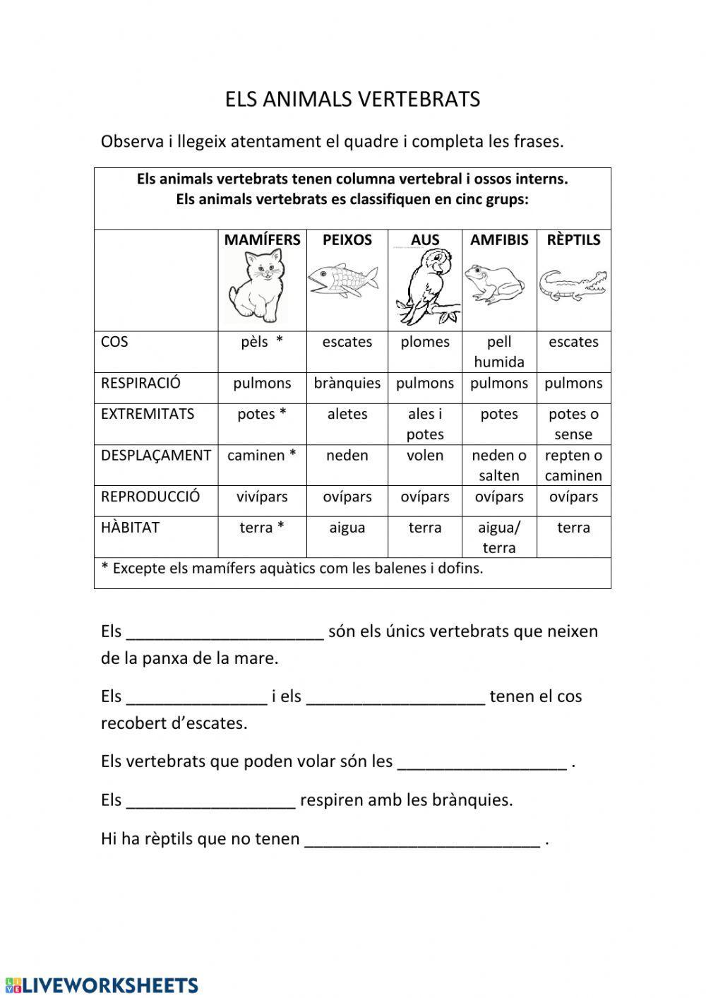 Els animals vertebrats