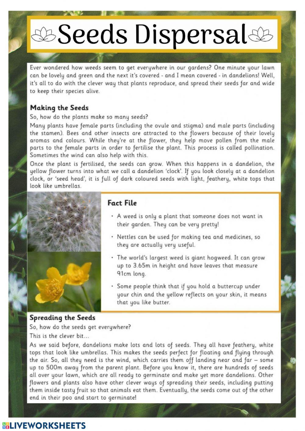 Wk12 T2 S 162 Seed Dispersal Worksheet Interactive Worksheet Edform
