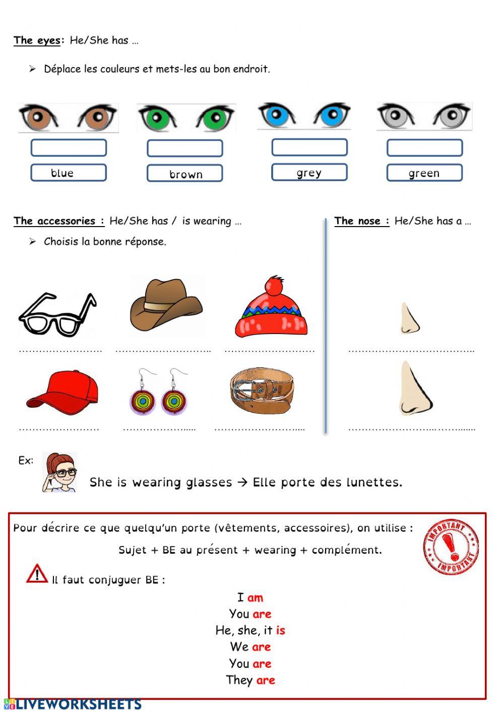 Physical description