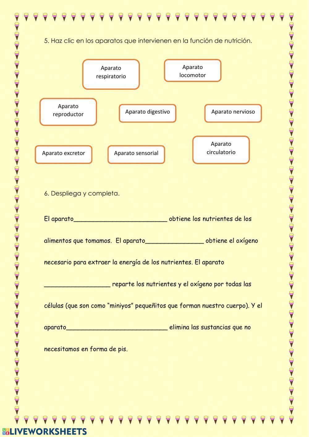 Nutrientes, alimentación y aparato digestivo