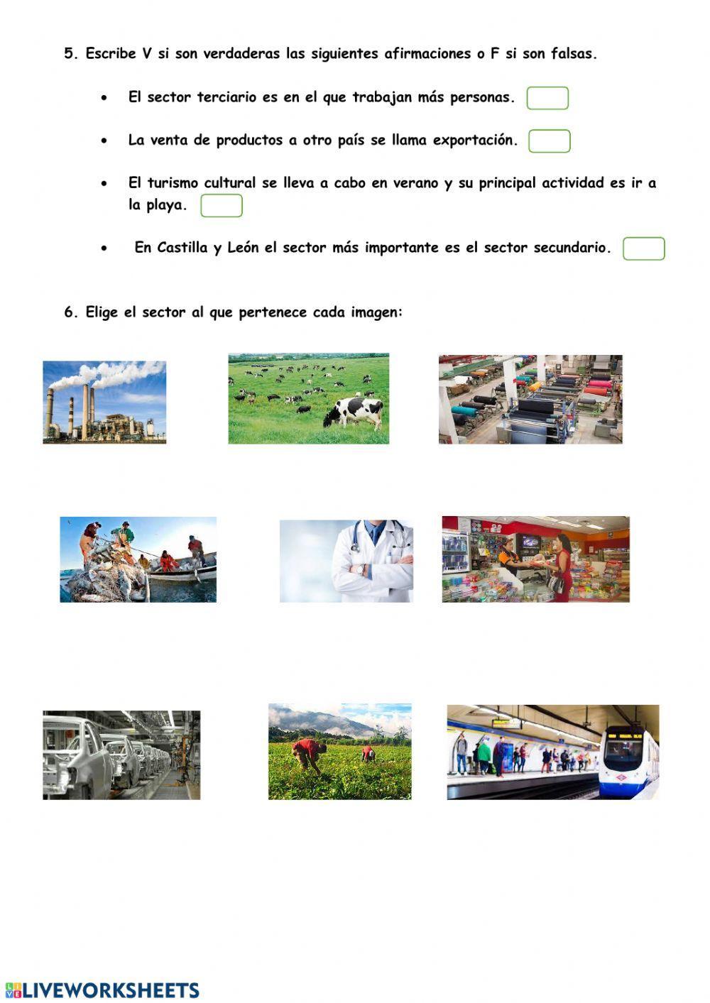 Actividades económicas