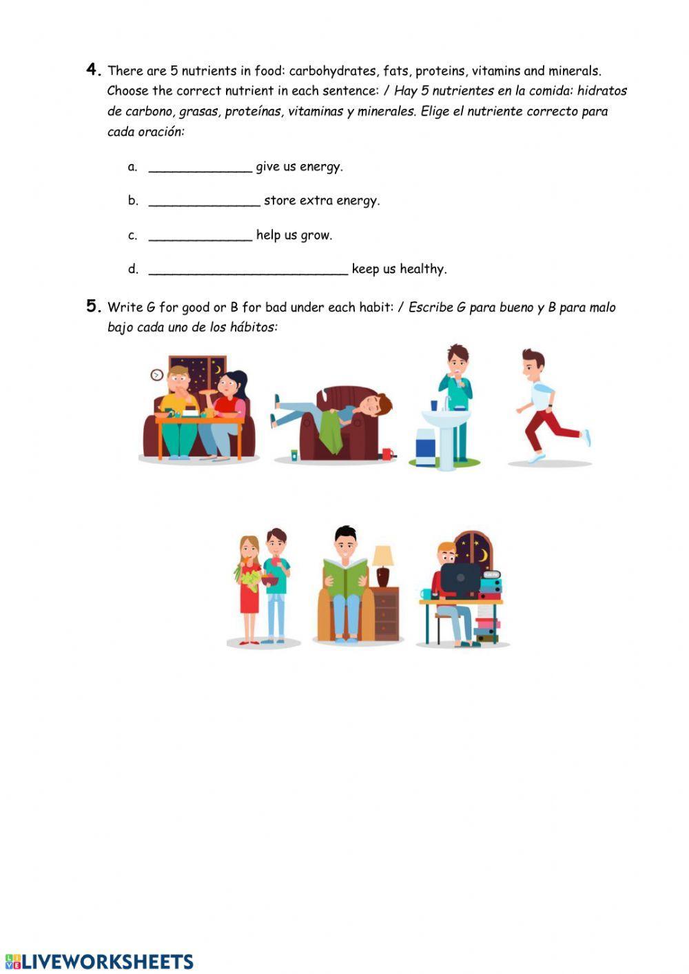 Natural Sciences: Diet, digestion and excretion