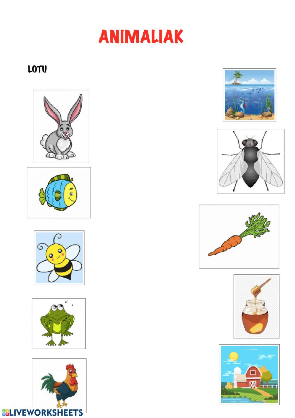 Animaliak lotu irudiekin Animaliak lotu irudiekin