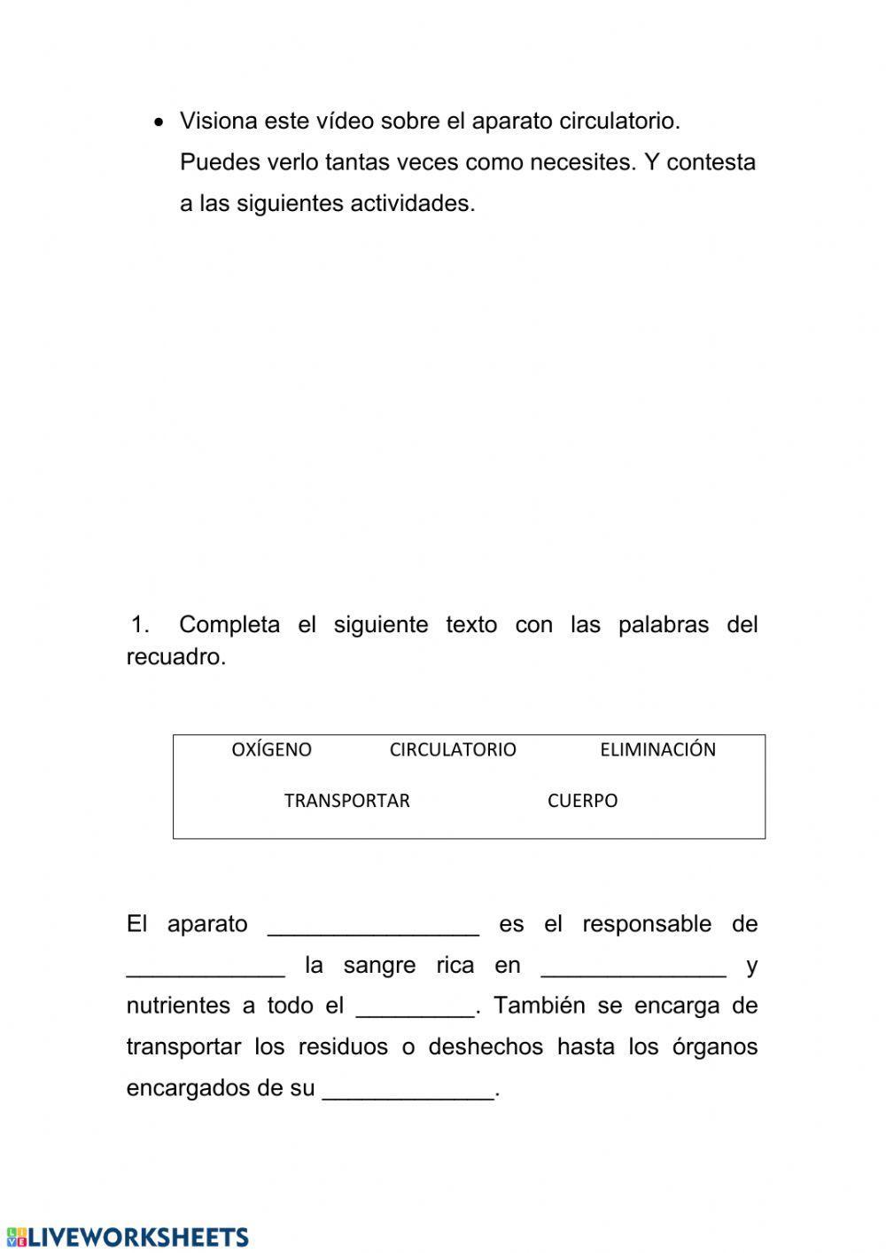 El aparato circulatorio